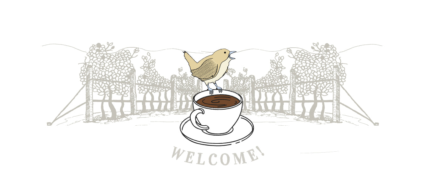 An illustration of a  chatty wren on top of a coffee cup, with coffee groves in the background 