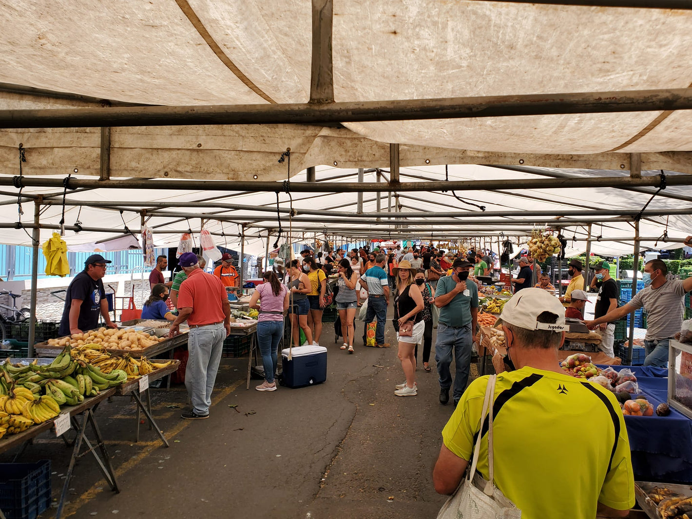 Crowds of people shopping at the Cooperstown Farmers Market